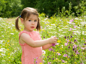 kleines Mädchen in Blumenwiese