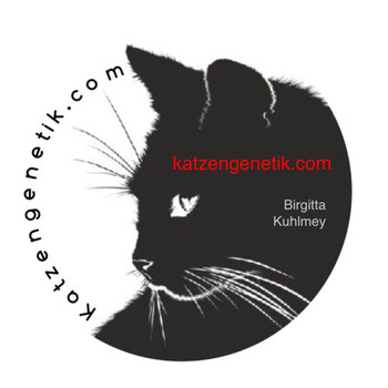 www.katzengenetik.com, Birgitta Kuhlmey