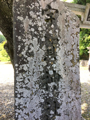 宇賀神社（筆者撮影）