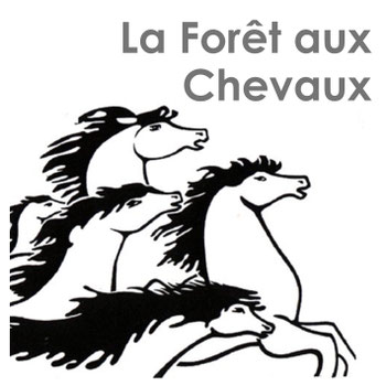 Site de foret-aux-chevaux !
