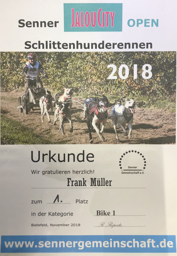 strong dog Boxer Hund vonderwaldnielerheide 