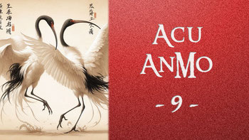 Formation acupuncture en ligne Acu-AnMo