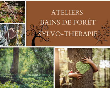 Sylvothérapie - bains de forêt