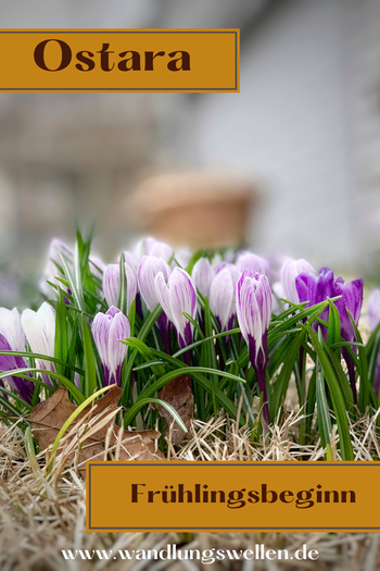 Ostara Frühling