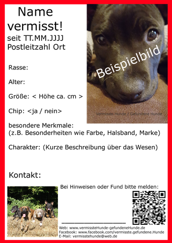 sie wunschen einen flyer zum ausdrucken und verteilen tierschutz rettet leben