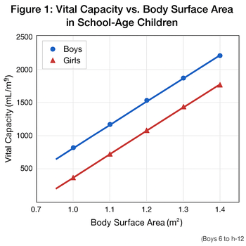 体格の拡大に伴い肺活量（mL/m²）は線形的に増加する。