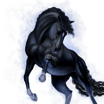 winterxstars-ssos Webseite!