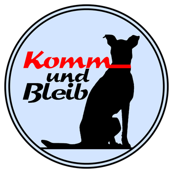 Lassig Oder Glamouros Wir Lieben Kettenhalsbander Online Shop Fur Handgemachte Hundeleinen