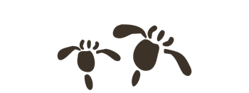 しばたあやめまつり鑑賞のコツ