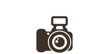 しばたあやめまつりのフォトギャラリー