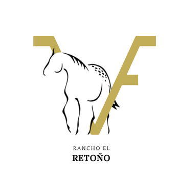 Caballos appaloosa en Mexico