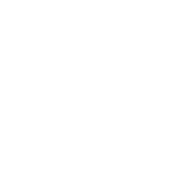 Cabañas Antulemu Pucon Chile