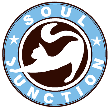 Soul Junction 公式ホームページ