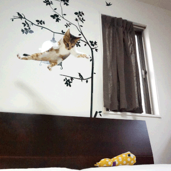 猫画像;猫と人,nekotohito,ネコトヒト