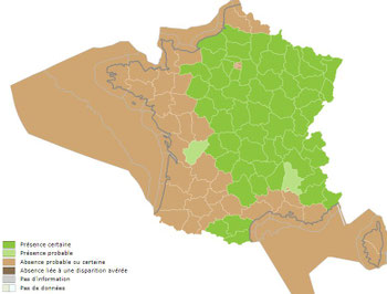 © INPN (cliquer pour agrandir)
