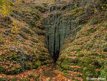 Urban; Urbex; Lost-Place; alt; verlassen; Old; Fotograf; Fotografie; Lenninger Tal; Lenningen; Mühle; Wasserkraft; Schlattstall; Goldloch