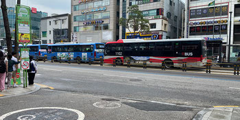 Colored Buses