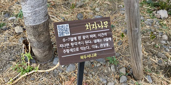 Plant info plaques