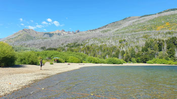 Badeferien in Patagonien: Nationalpark los Alerces