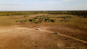 Trockenzeit im Pantanal