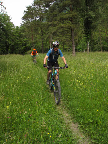 Das St. Galler Rheintal bietet schon früh im Jahr viele schöne Trails.