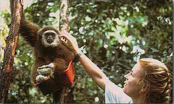 Image source: http://greenvolunteers.com/