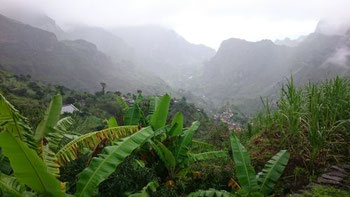 Rainy weather on one of the walks
