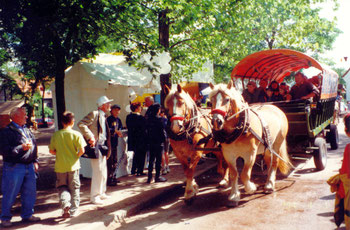 Tagesausflug des Bürgerverein 2011