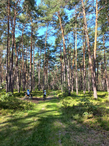 Kinder_mit_Fahrrädern_im_Wald