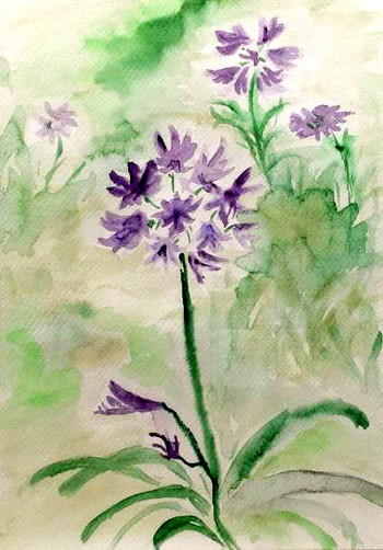 Violette Blüten 43 cm x 53 cm Aquarellfarben auf Zeichenpapier mit weißem Rahmen