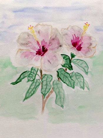 Blüten im Frühling 43 cm x 53 cm Aquarellfarben auf Zeichenpapier mit weißem Rahmen