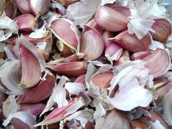 Garlic Knoblauchzehen