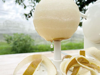 びわこもりやまフルーツランドの思い - 滋賀守山 びわこもりやま