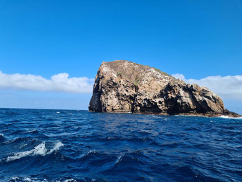 Gordon´s Rock. Ein großer Fels und eine der bekanntesten und besten Dive Sites in Galápagos.
