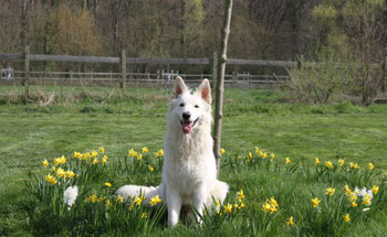 Pili wou ook op de foto :)