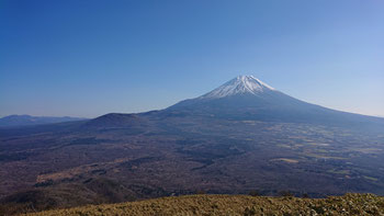 雄大な富士の樹海（山頂直下）