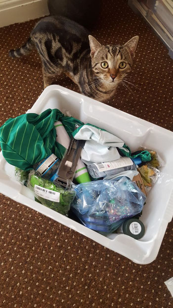 A box full of costume making kit - and Stiles the cat watching over them.