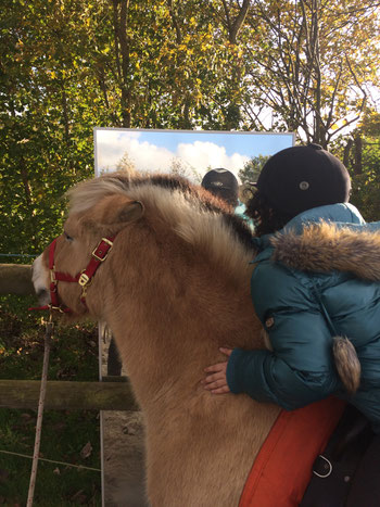 Emotieverkenning met paard Alexandra - Animal Assisted Coaching