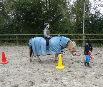 Samenwerking leren met het paard Alexandra - Animal Assisted Coaching