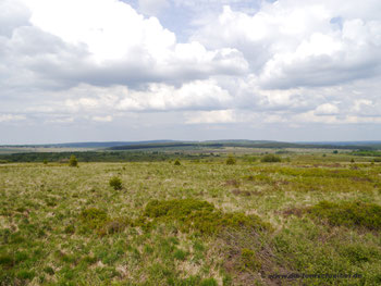 Staatliches Naturschutzgebiet Hohes Venn (Belgien)