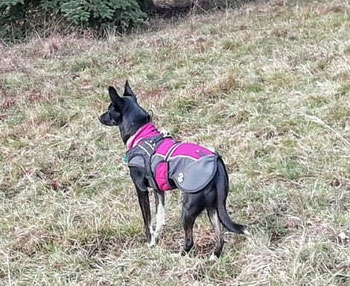 Das sagen unsere Kund:innen