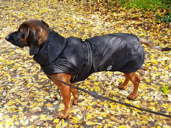 Das sagen unsere Kund:innen