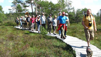 Tour durch das Schwarze Moor