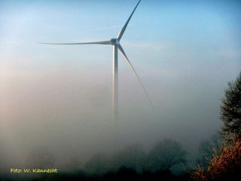 Windprojekt Neuengörs Weede
