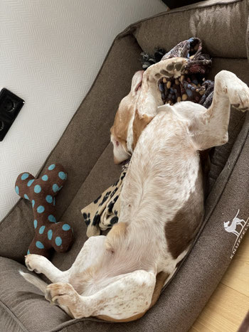 Foto: Bettina Bumb, Harper entspannt ohne Magen-/Darmprobleme