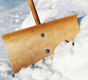Foto: Edler von Rabenstein_fotolia.com