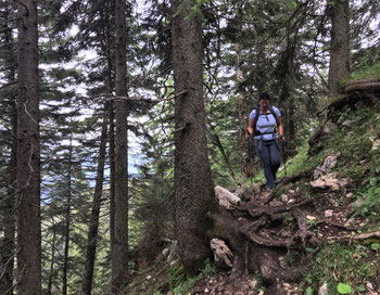 Durch den Bergwald unterhalb des Lechnerkopfs