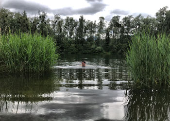 Abkühlung im Reischenharter See