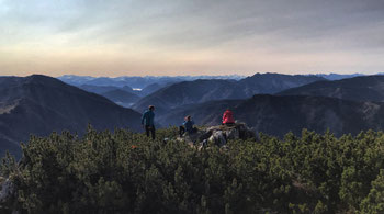 Rastplatz mit Aussicht in den Latschen unterhalb des Gipfels der Lacherspitz