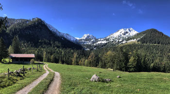 Blick von der Niederhofer Alm nach Westen